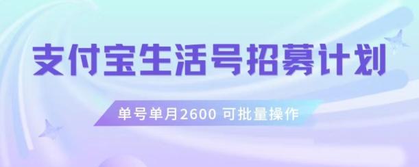支付宝生活号作者招募计划，单号单月2600，可批量去做，工作室一人一个月轻松1w+【揭秘】-梦凌网创