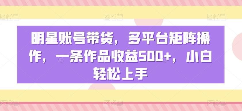 明星账号带货，多平台矩阵操作，一条作品收益500+，小白轻松上手【揭秘】-梦凌网创