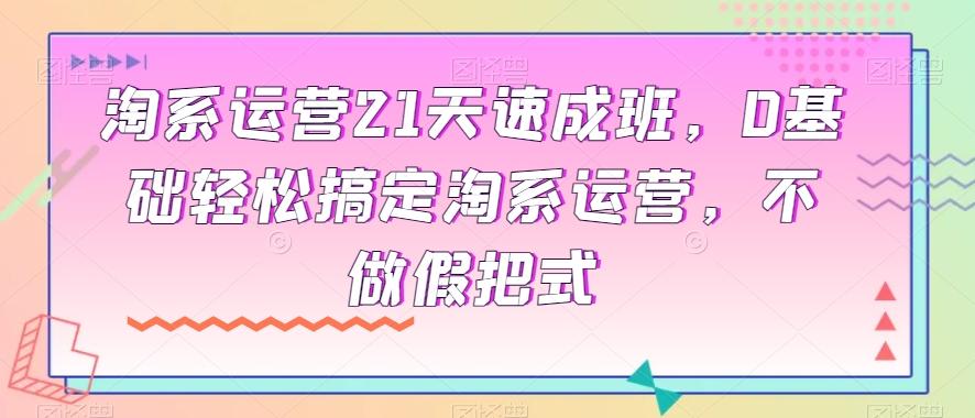 淘系运营21天速成班，0基础轻松搞定淘系运营，不做假把式-梦凌网创