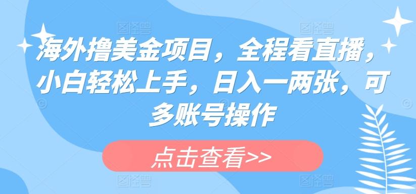 海外撸美金项目，全程看直播，小白轻松上手，日入一两张，可多账号操作【揭秘】-梦凌网创
