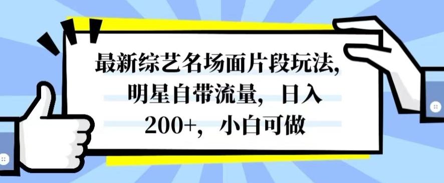 最新综艺名场面片段玩法，明星自带流量，日入200+，小白可做【揭秘】-梦凌网创