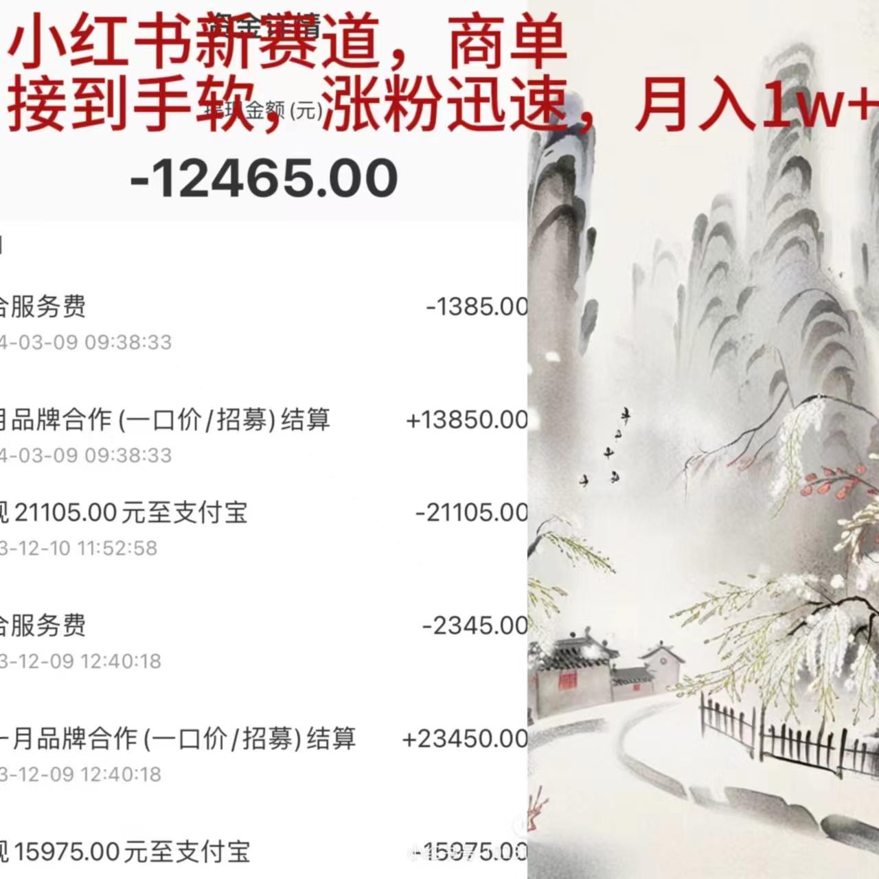 (9476期)小红书新赛道，商单接到手软，涨粉迅速，月入1w+-梦凌网创