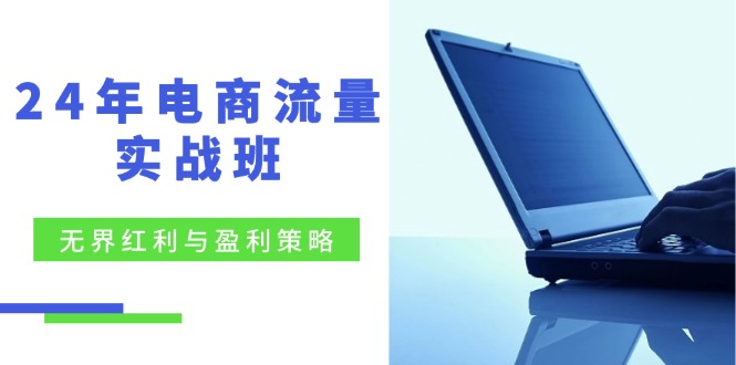24年电商流量实战班：无界 红利与盈利策略，终极提升/关键词优化/精准…-梦凌网创