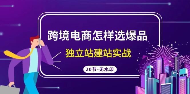 (9369期)跨境电商怎样选爆品，独立站建站实战(20节高清无水印课)-梦凌网创