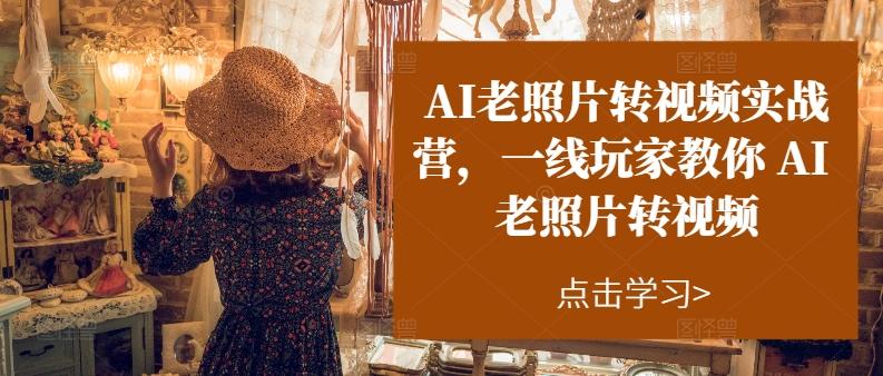AI老照片转视频实战营，一线玩家教你AI老照片转视频-梦凌网创