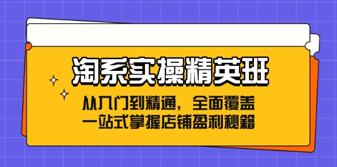 淘系实操精英班：从入门到精通，全面覆盖，一站式掌握店铺盈利秘籍-梦凌网创