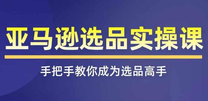 亚马逊选品实操课程，快速掌握亚马逊选品的技巧，覆盖亚马逊选品所有渠道-梦凌网创