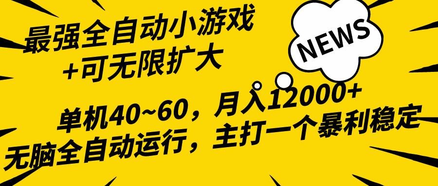 (10046期)2024最新全网独家小游戏全自动，单机40~60,稳定躺赚，小白都能月入过万-梦凌网创