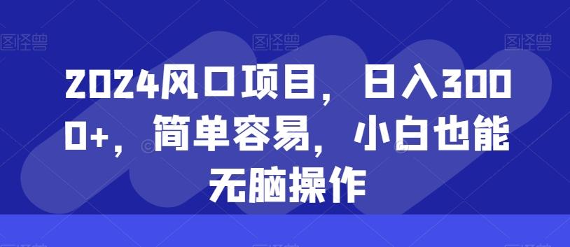 2024风口项目，日入3000+，简单容易，小白也能无脑操作-梦凌网创