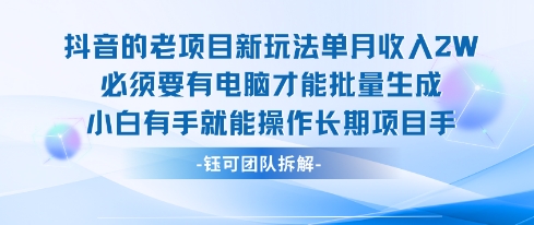 老项目新玩法单月收入2W小白有手就能操作长期项目-梦凌网创