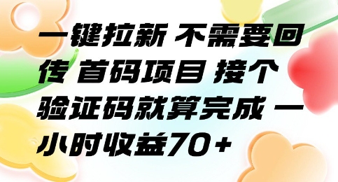 一键拉新 不需要回传 首码项目 接个验证码就算完成 一小时收益70+【揭秘】-梦凌网创