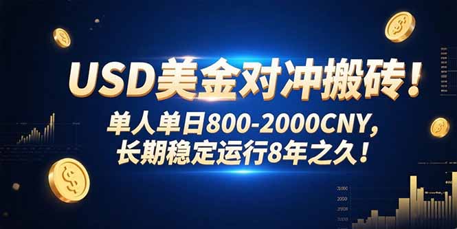 USD美金对冲搬砖!单人单日800-2000CNY，长期稳定运行8年之久!-梦凌网创