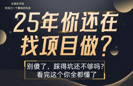 25年，你还在疯狂的找项目吗？别傻了，看完这个你都懂了【揭秘】-梦凌网创