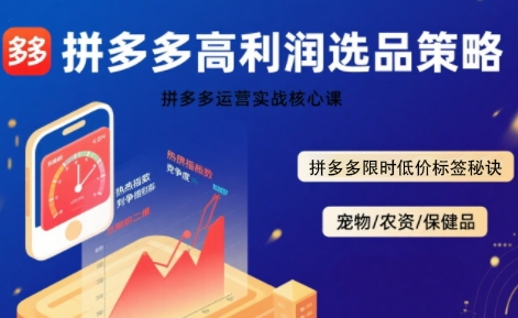 拼多多选品暴利技术实战课，拼多多高利润选品策略，拼多多限时低价标签秘诀-梦凌网创