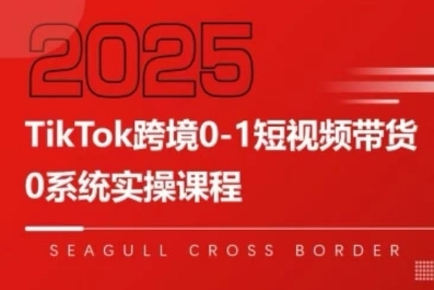TikTok跨境0-1短视频带货，系统拆解TikTok跨境带货全链路，实现跨境可持续盈利-梦凌网创