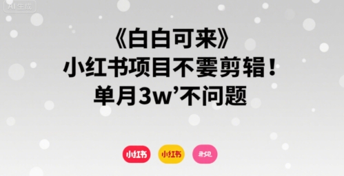 小白可来 小红书项目不需要剪辑 单月3w不是问题-梦凌网创