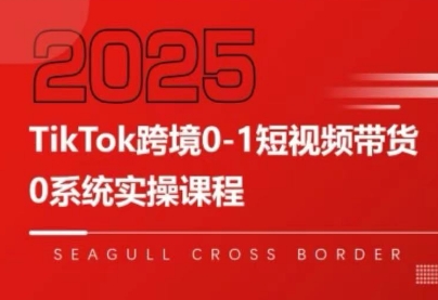 大亿老师·TikTok跨境0-1短视频带货-梦凌网创