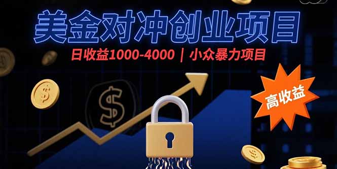 美金对冲创业项目，日收益1000-4000，小众暴力项目-梦凌网创