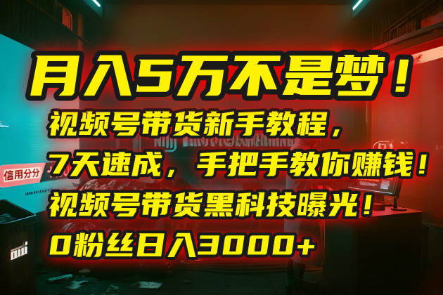 月入5万不是梦！视频号带货新手教程，7天速成，手把手教你赚钱！视频号…-梦凌网创