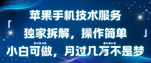 苹果手机技术服务，独家拆解，操作简单，小白可做，月过1W不是梦-梦凌网创