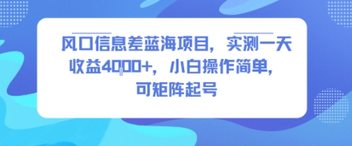 风口信息差蓝海项目，实测一天收益4k+，小白操作简单，可矩阵起号-梦凌网创