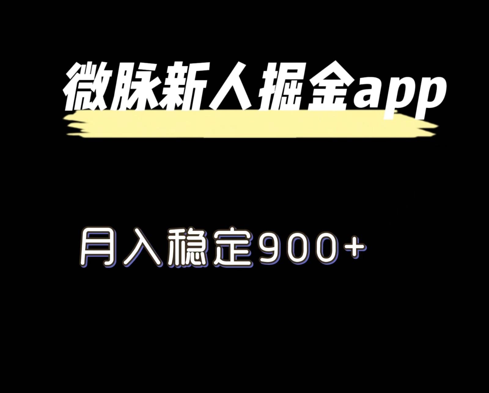 最新微脉长久项目，拉新掘金，月入稳定900+-梦凌网创