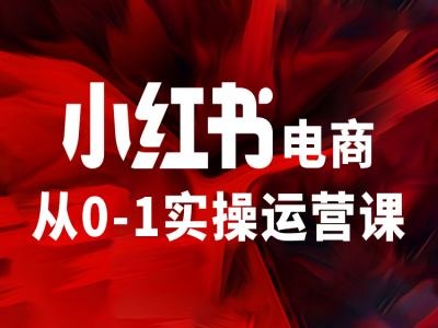 小红书电商从0-1实操运营课，让你从小白到精英-梦凌网创