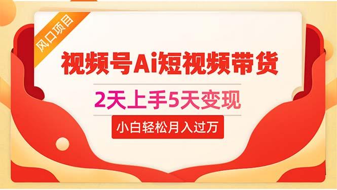 2天上手5天变现视频号Ai短视频带货0粉丝0基础小白轻松月入过万-梦凌网创
