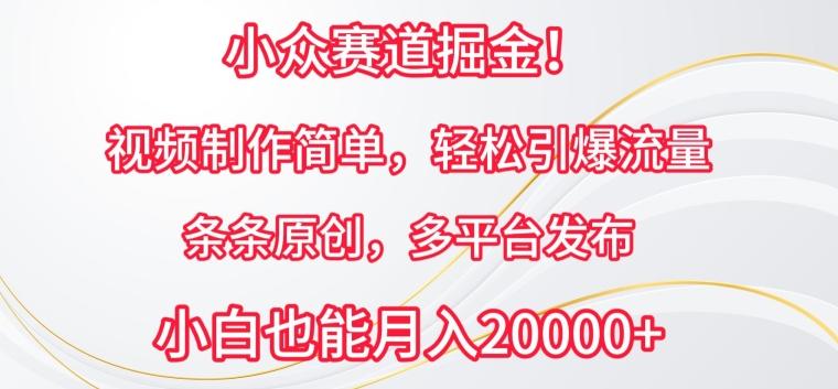 小众赛道掘金，视频制作简单，轻松引爆流量，条条原创，多平台发布【揭秘】-梦凌网创