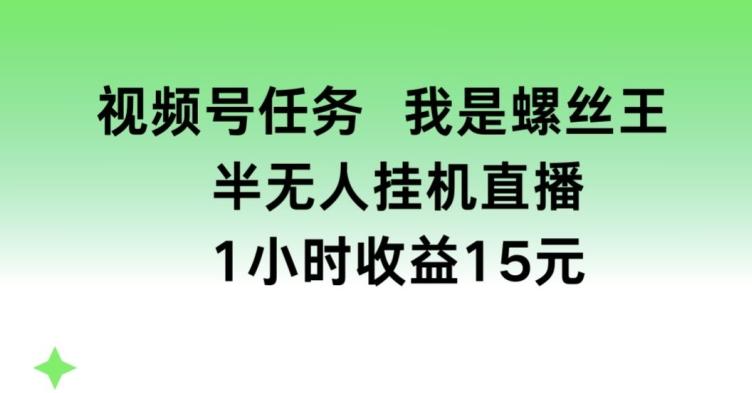 视频号任务，我是螺丝王， 半无人挂机1小时收益15元【揭秘】-梦凌网创