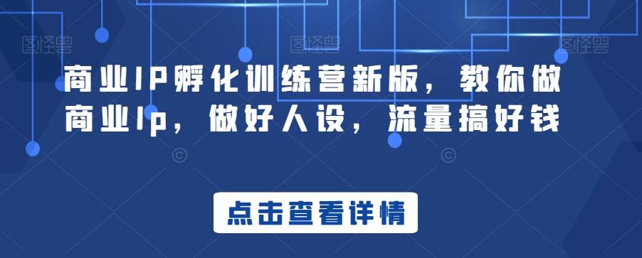 商业IP孵化训练营新版，教你做商业Ip，做好人设，流量搞好钱-梦凌网创