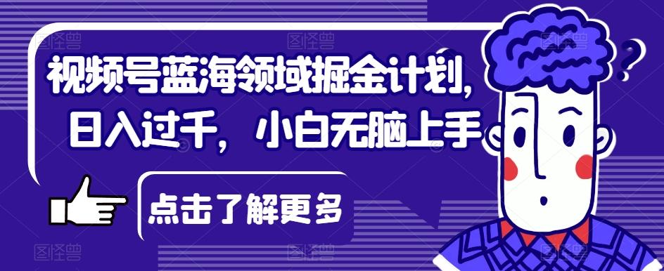视频号蓝海领域掘金计划，日入过千，小白无脑上手【揭秘】-梦凌网创