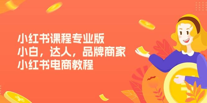 小红书课程专业版，小白，达人，品牌商家，小红书电商教程(15节-梦凌网创