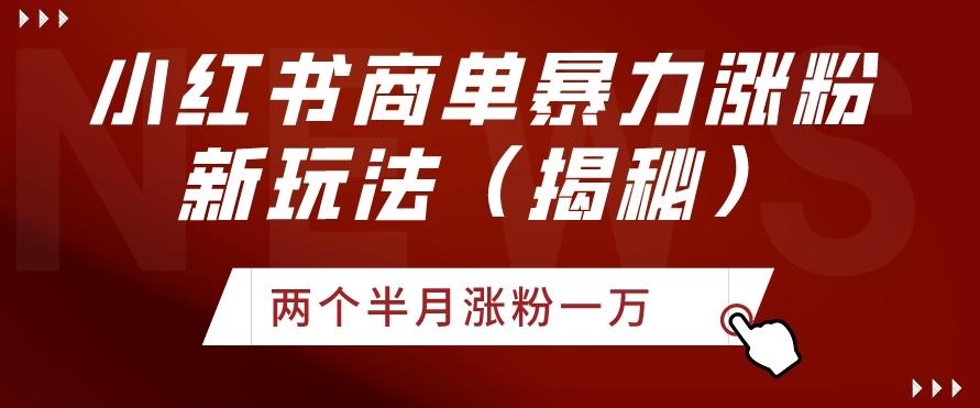 小红书商单暴力涨粉新玩法两个半月涨粉一万（揭秘）-梦凌网创