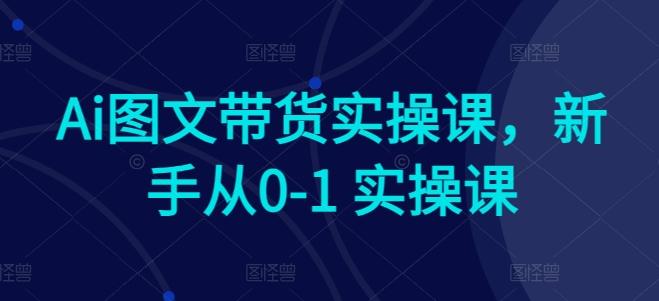 Ai图文带货实操课，新手从0-1 实操课-梦凌网创