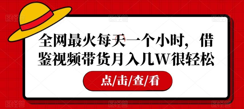 全网最火每天一个小时，借鉴视频带货月入几W很轻松【揭秘】-梦凌网创