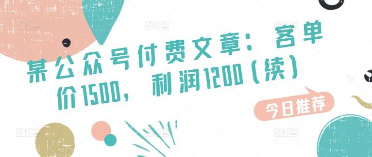 某公众号付费文章：客单价1500，利润1200(续)，市场几乎可以说是空白的-梦凌网创