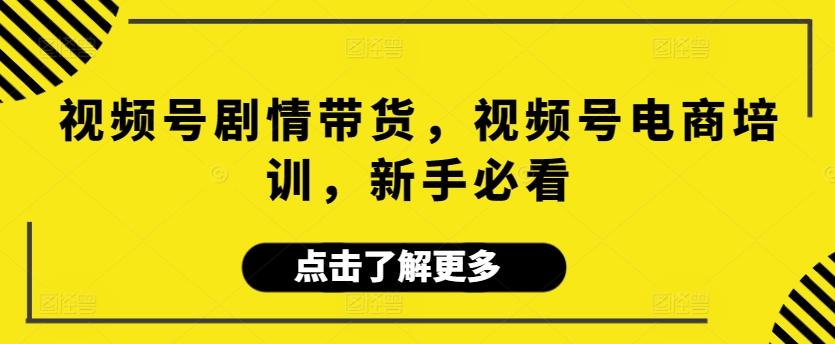 视频号剧情带货，视频号电商培训，新手必看-梦凌网创