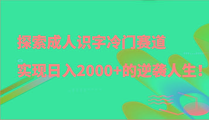 探索成人识字冷门赛道，实现日入2000+的逆袭人生！-梦凌网创