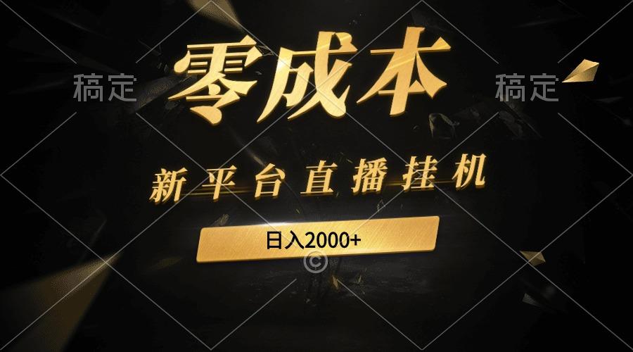 (9841期)新平台直播挂机最新玩法，0成本，不违规，日入2000+-梦凌网创
