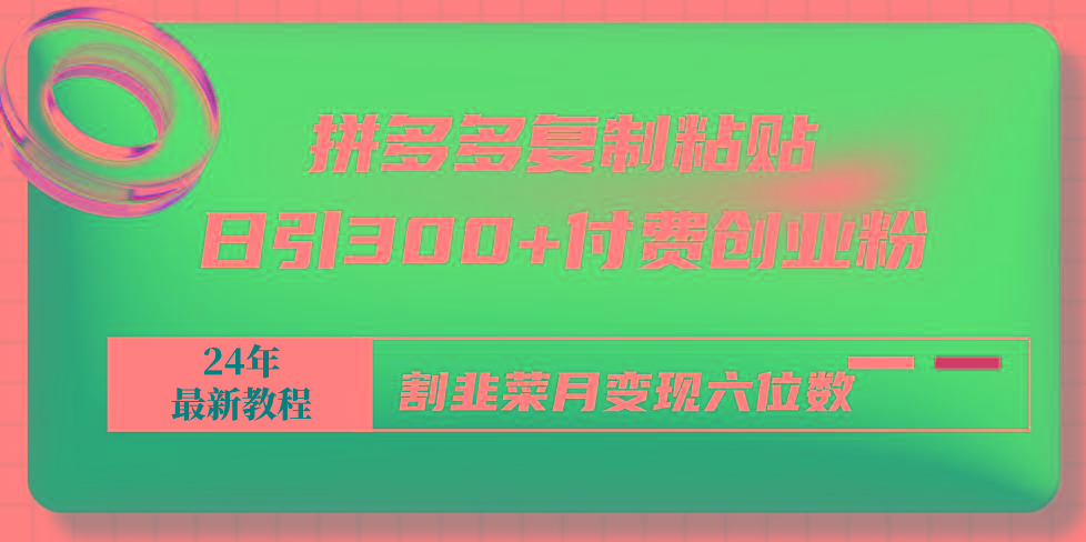 拼多多复制粘贴日引300+付费创业粉，割韭菜月变现六位数最新教程！-梦凌网创