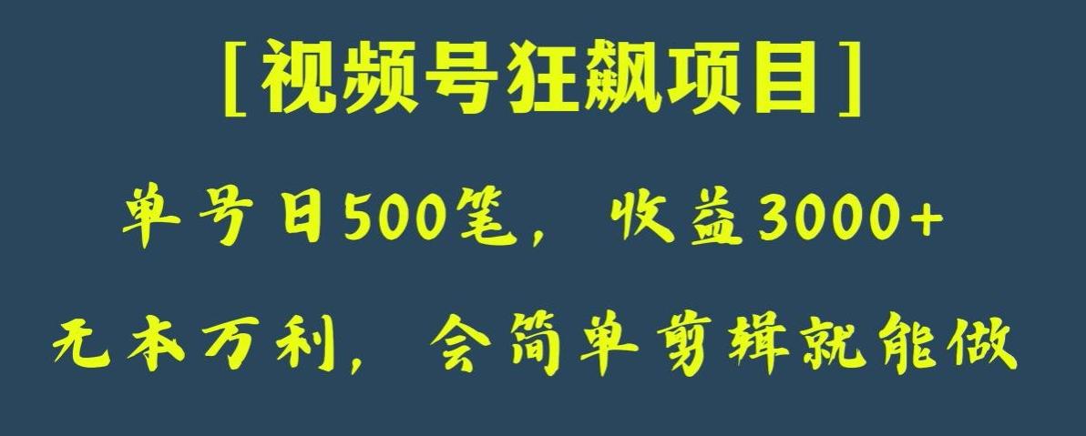 日收款500笔，纯利润3000+，视频号狂飙项目，会简单剪辑就能做【揭秘】-梦凌网创