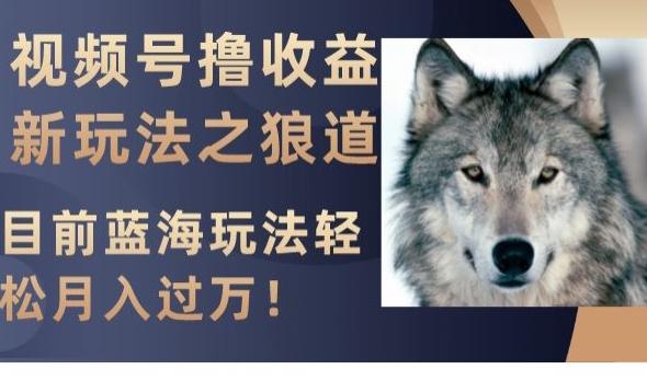 视频号撸收益新玩法之狼道，目前蓝海玩法，轻松月入过万【揭秘】-梦凌网创