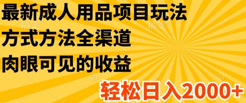 最新成人用品项目玩法，方式方法全渠道，轻松日入2K+【揭秘】-梦凌网创