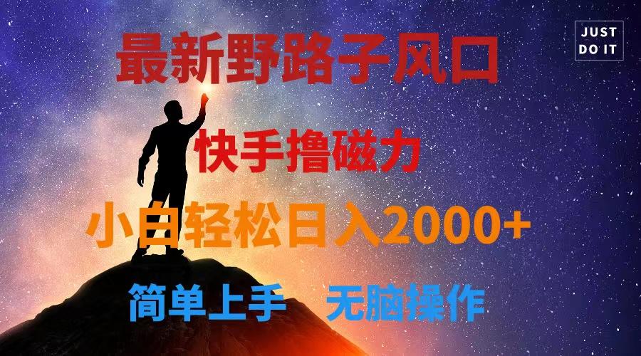 最新风口！快手撸磁力，野路子，小白无脑操作日入2000+-梦凌网创