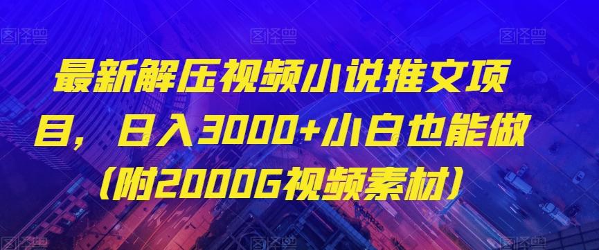 最新解压视频小说推文项目，日入3000+小白也能做（附2000G视频素材）【揭秘】-梦凌网创