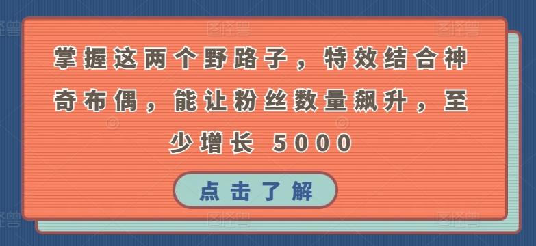 掌握这两个野路子，特效结合神奇布偶，能让粉丝数量飙升，至少增长 5000【揭秘】-梦凌网创