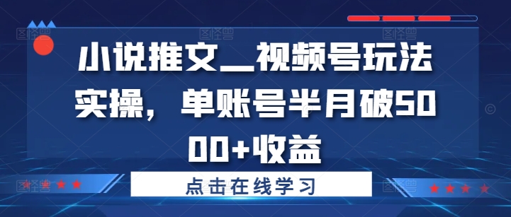小说推文—视频号玩法实操，单账号半月破5000+收益-梦凌网创