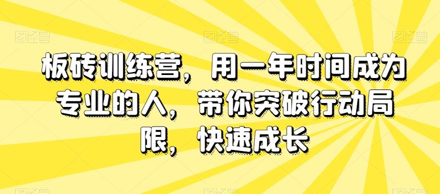 板砖训练营，用一年时间成为专业的人，带你突破行动局限，快速成长-梦凌网创