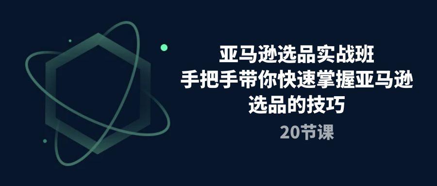 亚马逊选品实战班，手把手带你快速掌握亚马逊选品的技巧(20节课-梦凌网创